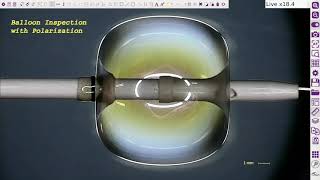 OMNI Core Application: Balloon Catheter Inspection screenshot 1
