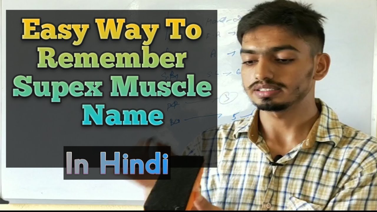 Easy Way To Remember Forearm,Arm and Hand Muscle Name ...