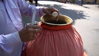 Monkey Eating Tasty Matka Malai Kulfi by Hand | Indian Street Food