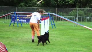 Junior EO 2011 Team Agility Bori & Bojtár