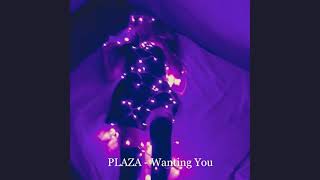 PLAZA - Wanting You