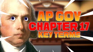 Celebrity AP GOV Chapter 17 Key Terms + Notes Profile