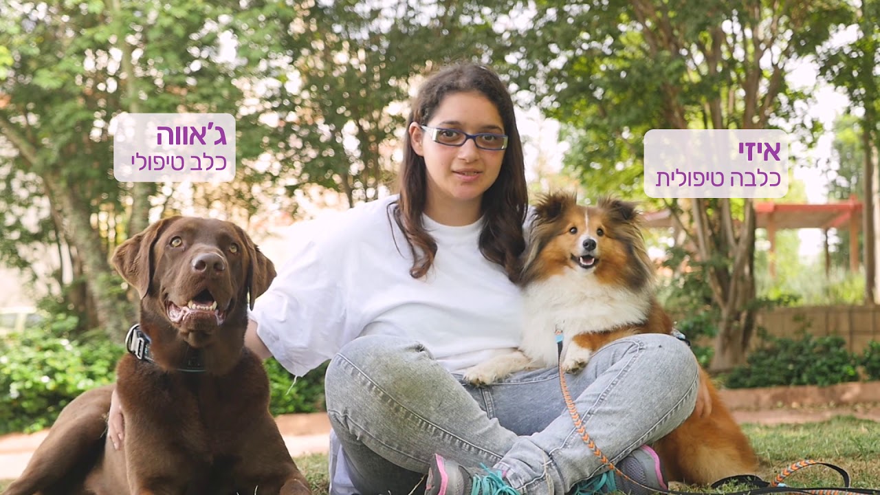 מישהו לחיות לצידו  - פרויקט כלבנות טיפולית מטעם עמותת צב