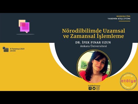 Nörodilbilimde Uzamsal ve Zamansal İşlemleme  - Dr. İpek Pınar Uzun