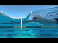 Coach Stuart McDougal - Total Immersion Swimming