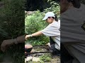 Solo Camping Cooking | Traditional Persian Abgoosht Over Campfire in the Forest 🌲🔥