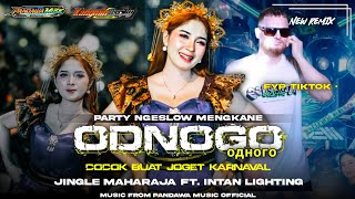 Dj Odnogo Viral Tiktok Terbarustyle Party Ngeslow Bassenak Poll Buat Joget Karnaval