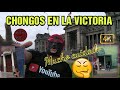 INCURSIÓN EN ZONA ROSA DE LA VICTORIA - BARATO pero..