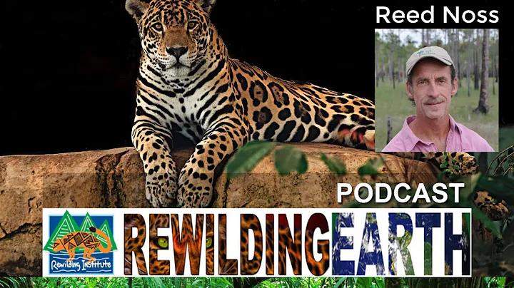 What is Rewilding? Reed Noss Episode 2 - Rewilding...