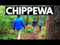 The Mystery of the Lost 40 Trail in Chippewa National Forest