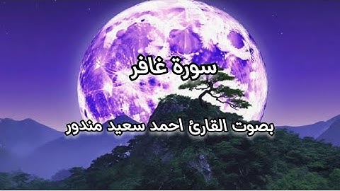 تلاوة خاشعة | ما تيسر من سورة غافر | تزيل الهم وتمنحك الطمأنينة| بصوت القارئ احمد سعيد مندور