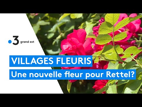 Villes et villages fleuris : Rettel cherche sa troisième fleur