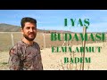 1 YAŞ ŞEKİL BUDAMASI - Bozkır Bahçesi - |12|