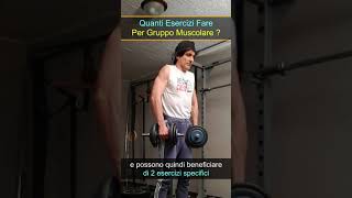 Quanti Esercizi Fare Per Gruppo Muscolare  shorts