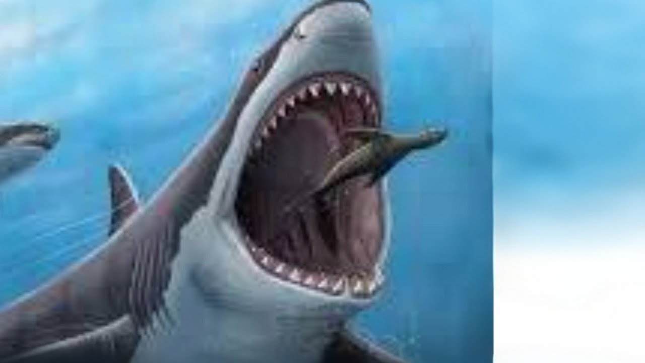 The Megaladon (an animalcompany movie)