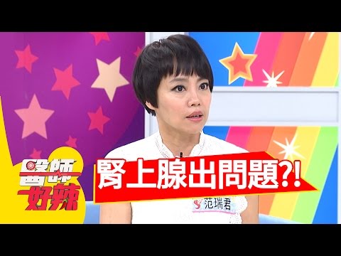 出現這些徵兆 小心腎上腺出問題？！白雲 洪棠 20161220 part1 醫師好辣