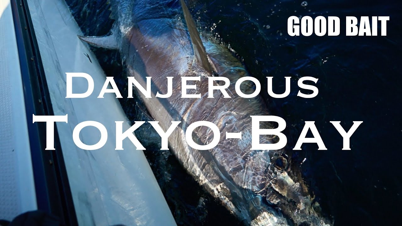 GOOD BAIT/DRY CARBON GIMBAL(ドライカーボンギンバル) - ソルトルアー