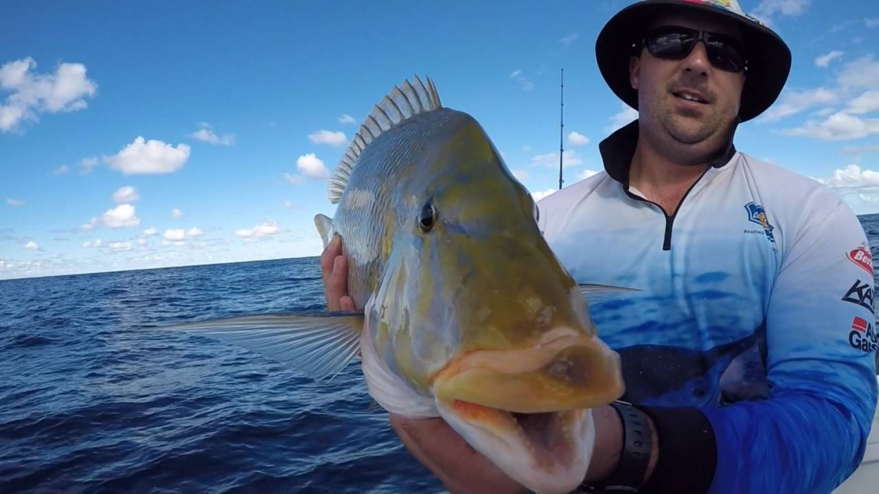 Offshore Fishing Fraser 2016 YouTube