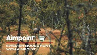 SWEDISH MOOSE HUNT WITH AIMPOINT