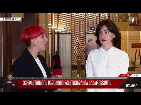 ევროკომისიის დადებითი რეკომენდაცია საქართველოს - მაკა ბოჭორიშვილის გამოხმაურება