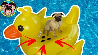 Chuti Tiene Pulgas Guzmancitos