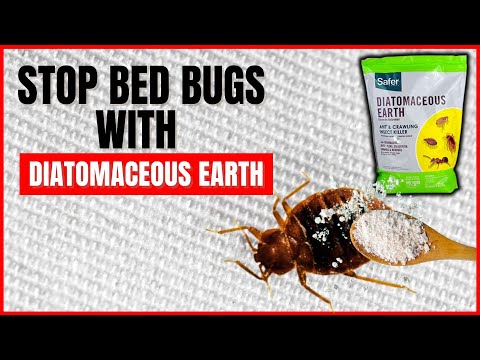 How To Use Diatomaceous Earth To Kill Bed Bugs This is Unbelievable