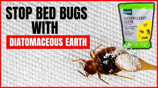 How To Use Diatomaceous Earth To Kill Bed Bugs (This is Unbelievable!)