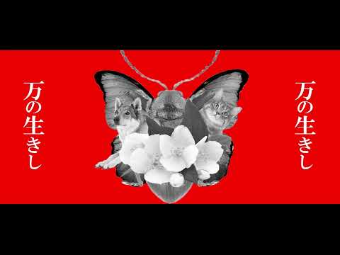 gasshow/illion