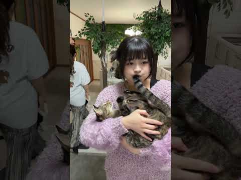 猫と演奏してみた。