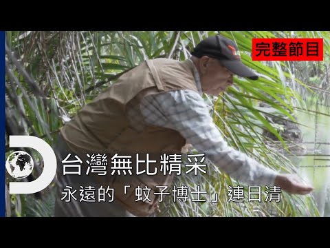 歐美-台灣無比精采