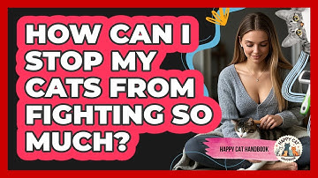 How Can I Stop My Cats From Fighting So Much? - Happy Cat Handbook
