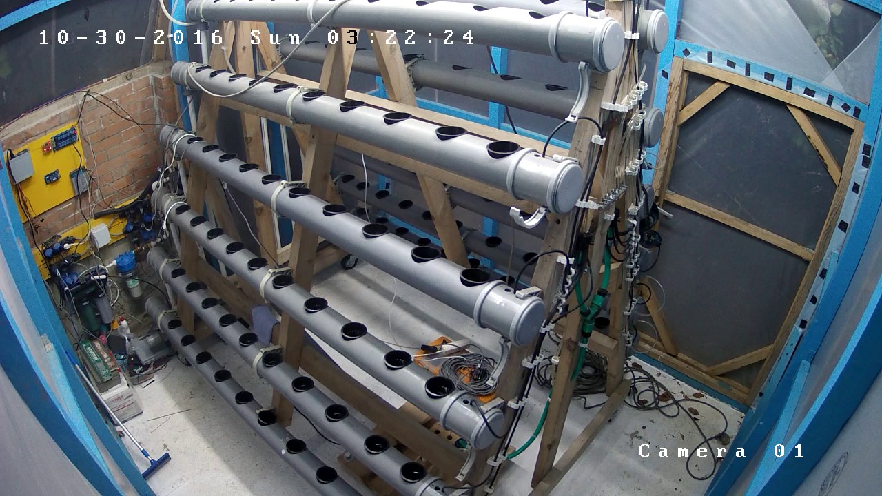 bubblestack Live Stream