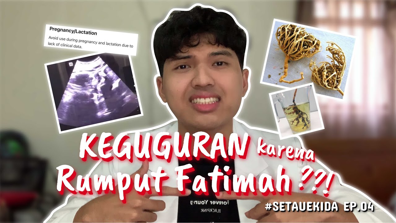 RUMPUT FATIMAH BAHAYA??! - SETAUEKIDA EP 4 