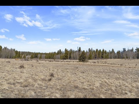247 Foxtail Court, Fairplay, CO home video tour