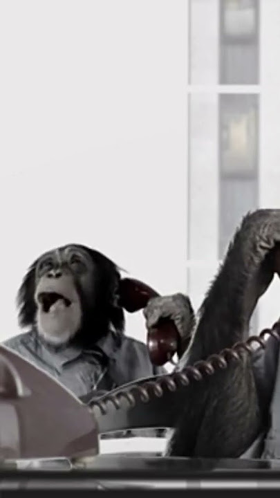 monyet telponan #funnyvideo #funnyshorts #youtubeshorts