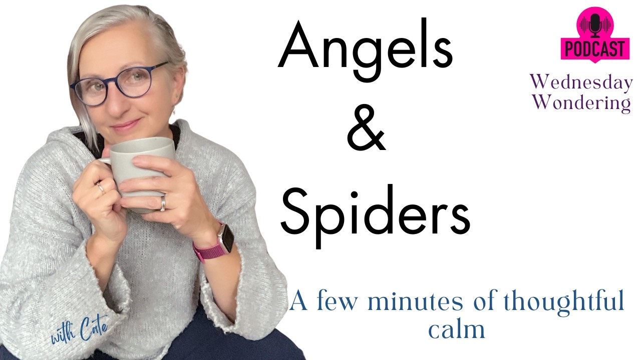 Ангелы и пауки: размышления в среду