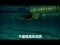 魚式游泳 20150903 分解動作和全泳練習紀錄