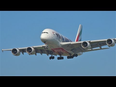 Emirates United for Wildlife A380 A6-EEI Landing at Amsterdam Airport Schiphol
