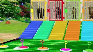 Chose The Right Stair Game With Elephant Gorilla Lion Animals Game/SA Cute💞🐘🦓#funny#live#subscribers