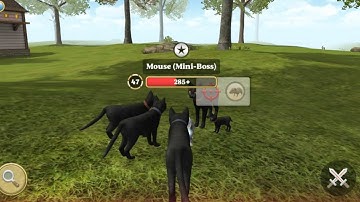 Cat Simulator 2020 #20