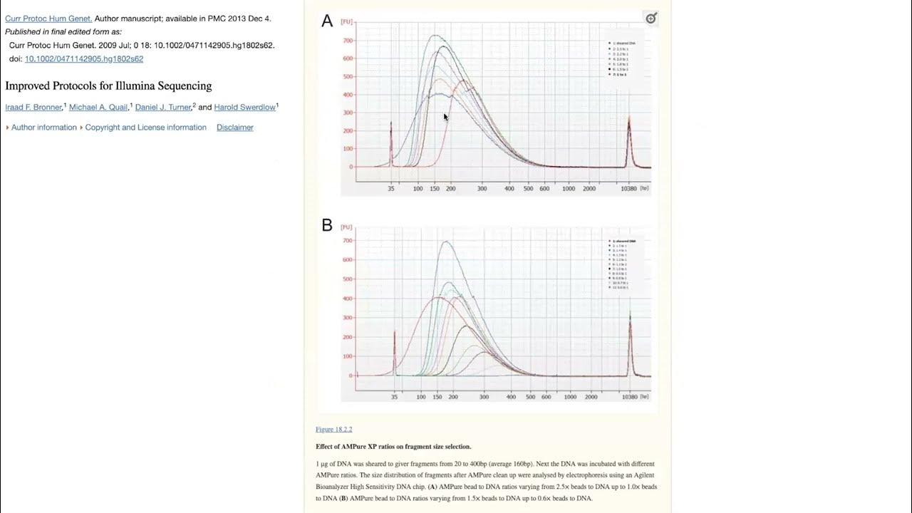 How SPRI beads (SPRIselect, AMPure, etc.) work for nucleic acid cleanup & size selection YouTube