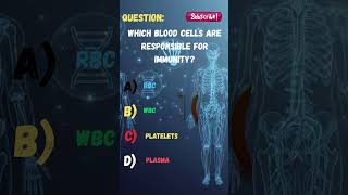 Which Blood Cells Are Responsible for Immunity? 🛡️ | Human Anatomy Quiz #like