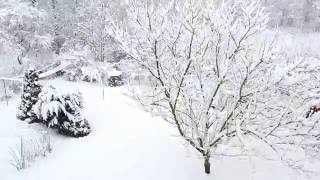 Meditation / Relaxation Video - Falling Snow @Laidart