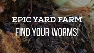 Attract Earthworms in Your Garden