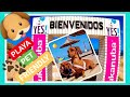 MEJOR LUGAR PET FRIENDLY YES PLAYA CANINA MAR DEL PLATA ARGENTINA 2022