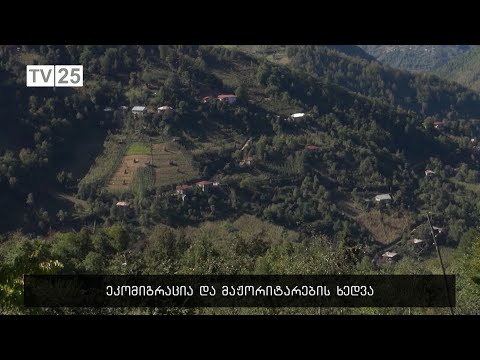 ეკომიგრაცია და მაჟორიტარების ხედვა