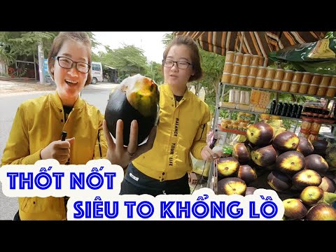 Video Lần đầu thử ăn quả thốt nốt tươi to chà bá lửa - youtube
