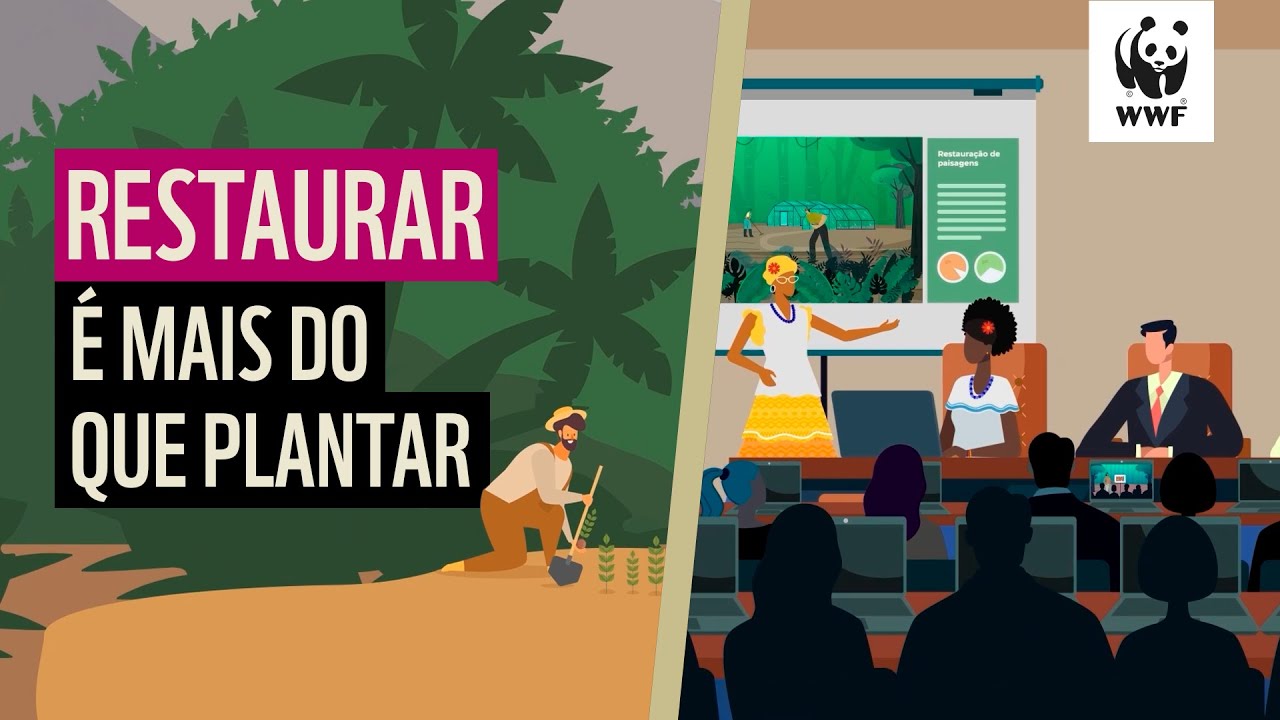 Conheça a estratégia de Restauração e as frentes de atuação do WWF-Brasil