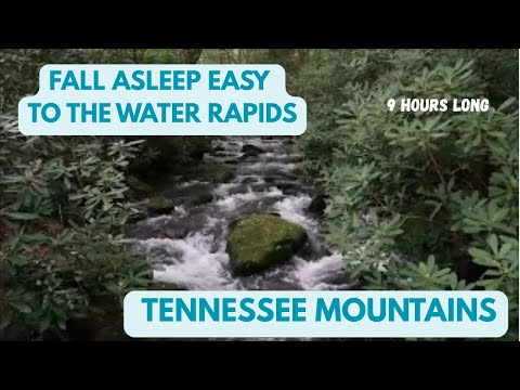 SLEEPING BY THE CREEK SOUND 9 HOURS RELAXING CREEK WATERFALL BACKGROUND SOUND