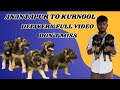 Anantapur to kurnool delivery full video don't miss this video🐶❤️🚌#hyderabad  #dog #viral